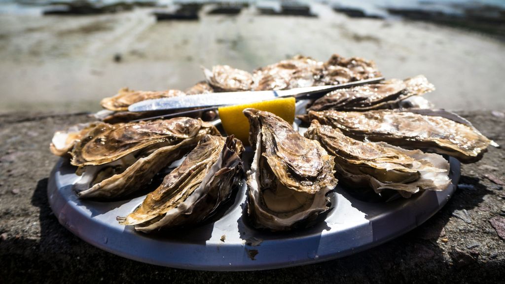 Comer ostras está de moda