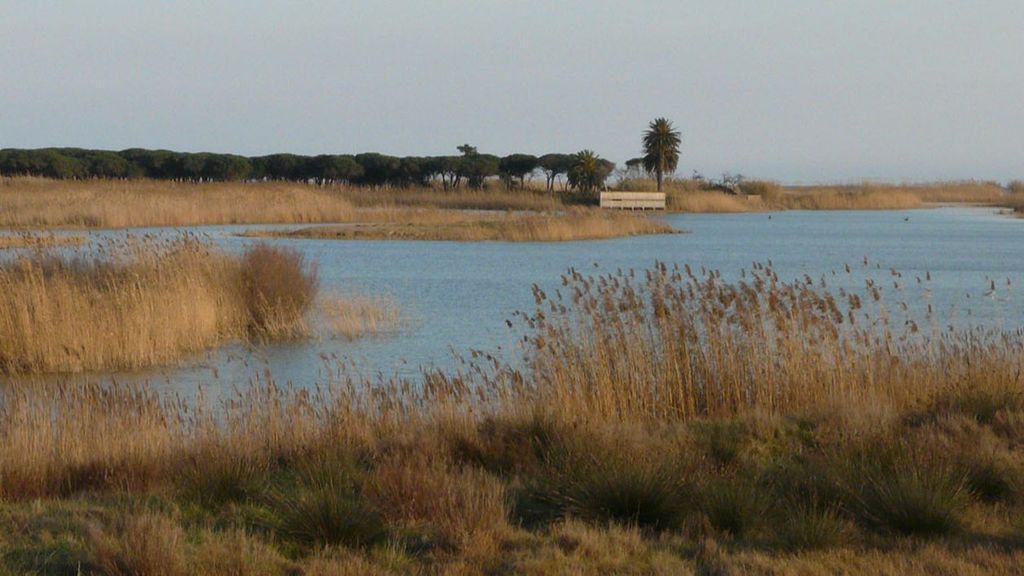 Ecologistas alertan de la construcción en el Delta del Llobregat tras la DANA en Valencia