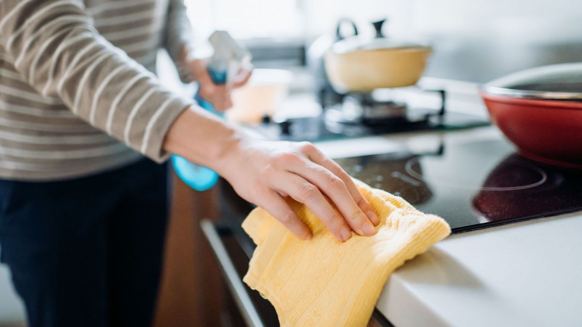 El peligro oculto de las esponjas de cocina