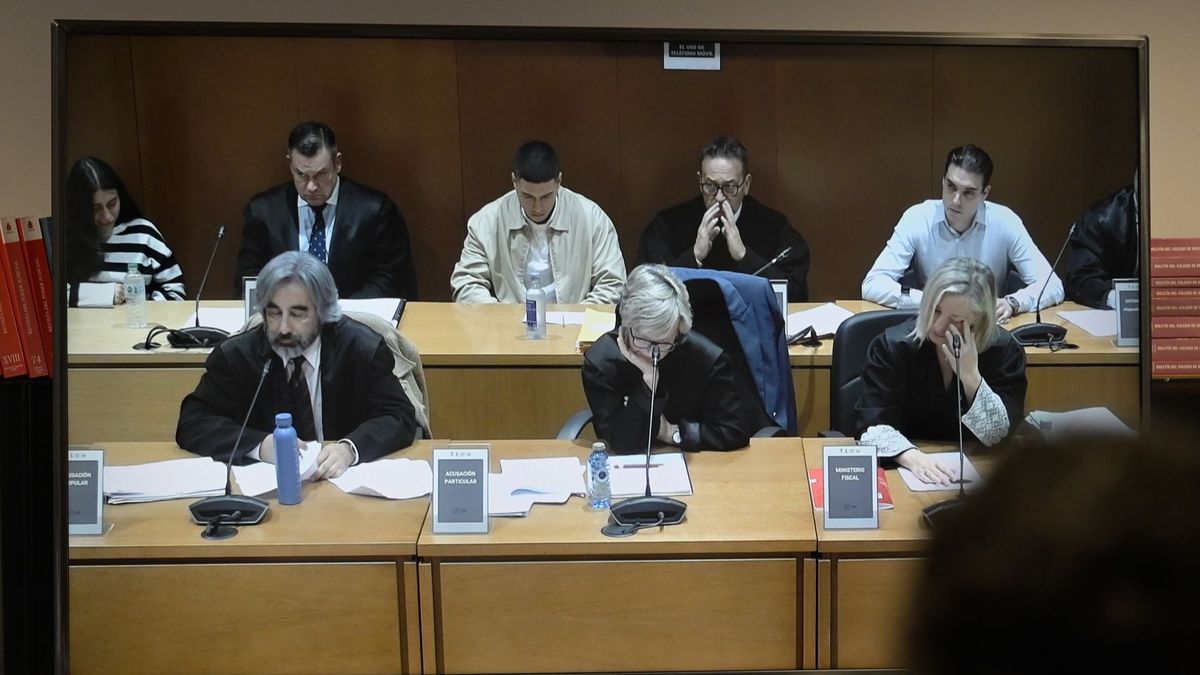 Imagen de la novena jornada del juicio de Samuel Luiz.