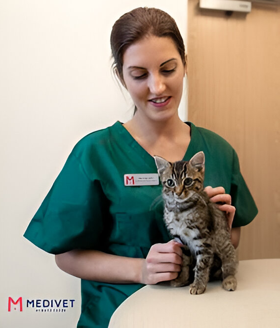 Veterinaria de Medivet