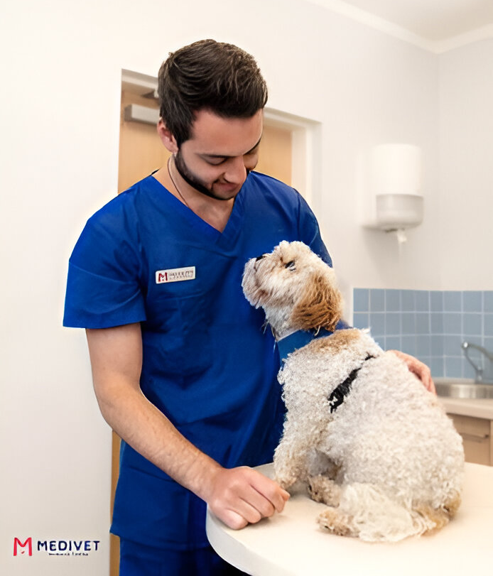 Veterinario de Medivet