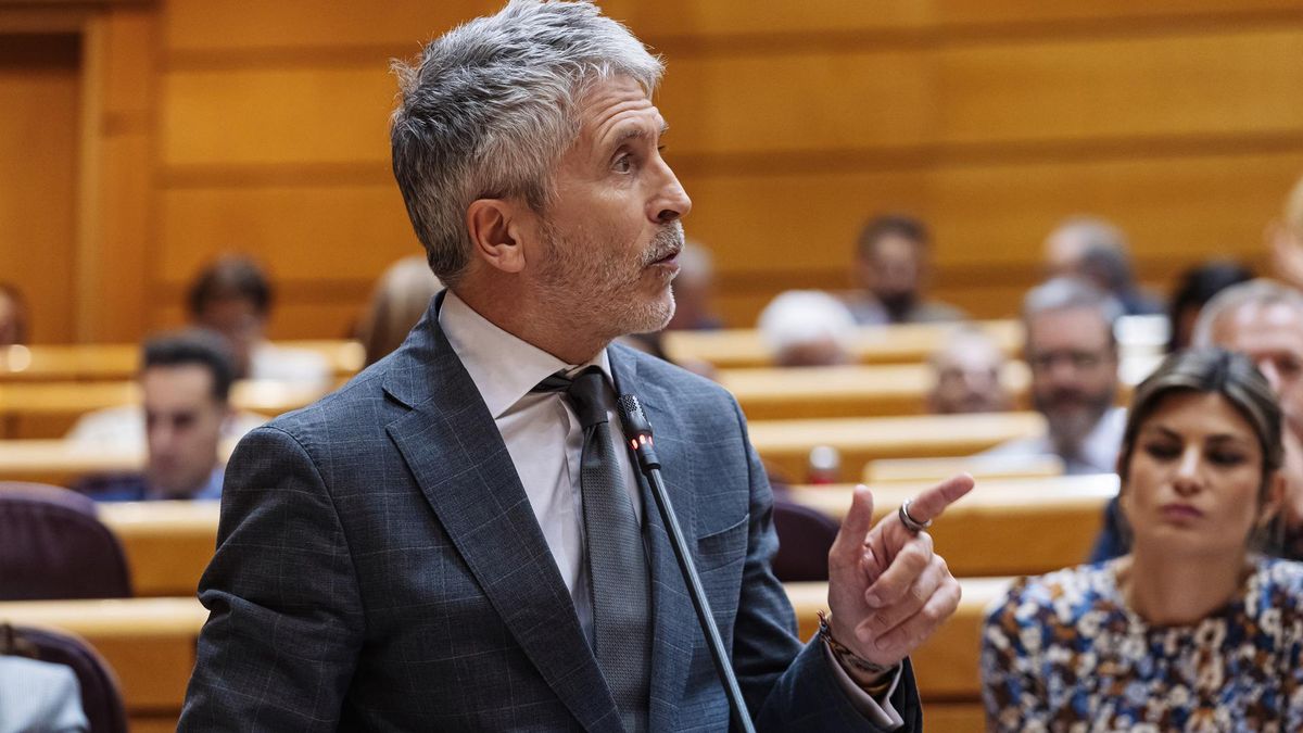 El ministro del Interior, Fernando Grande-Marlaska, interviene durante una sesión plenaria,  en el Senado