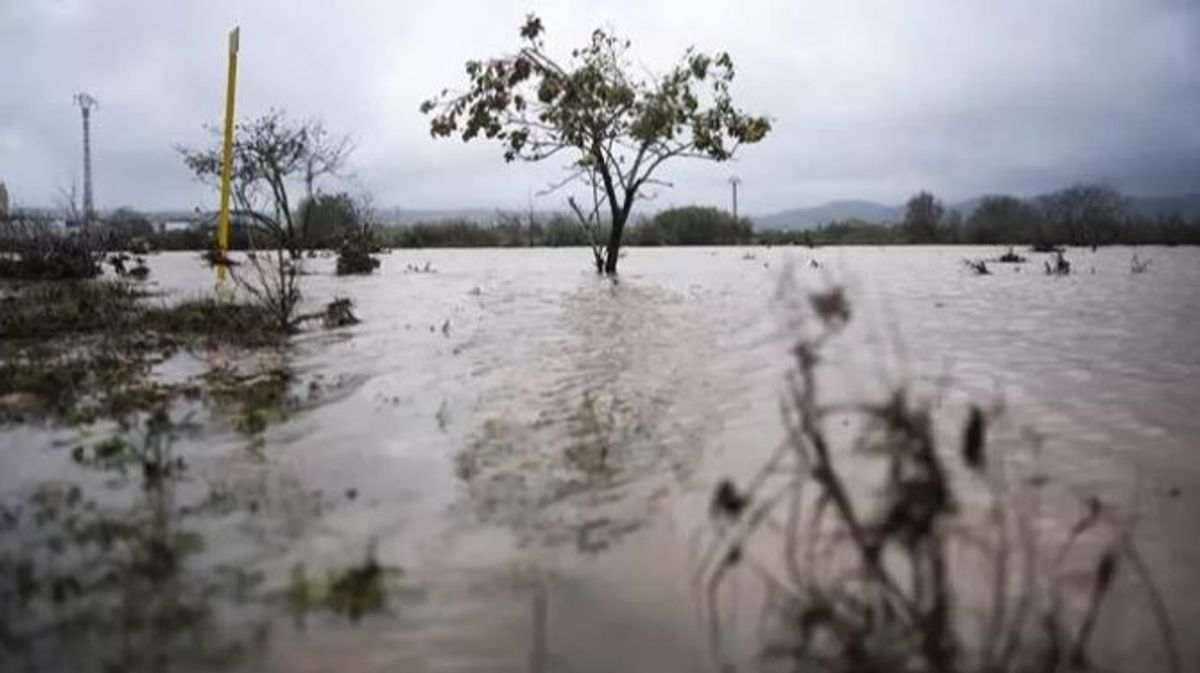 Arquitectos ven "inasumible" la DANA y proponen "cortafuegos" para evitar inundaciones