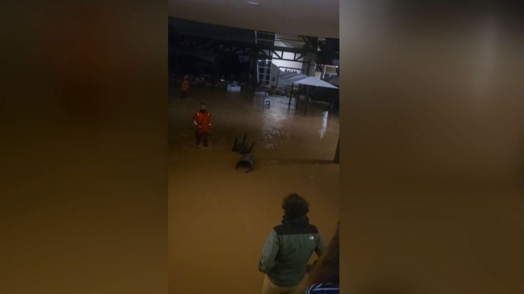 Miembros de Salvamento rescatan a un piloto atrapado en el centro comercial Bonaire