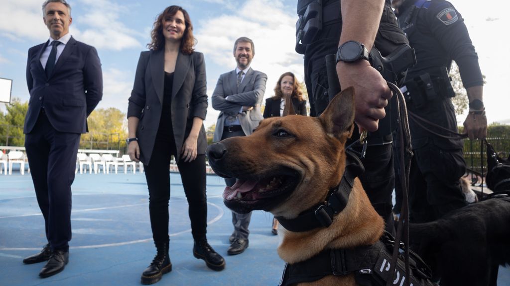 Ayuso participa en el simulacro de detección de drogas en el Instituto Palas Atenea de Torrejón de Ardoz, Madrid