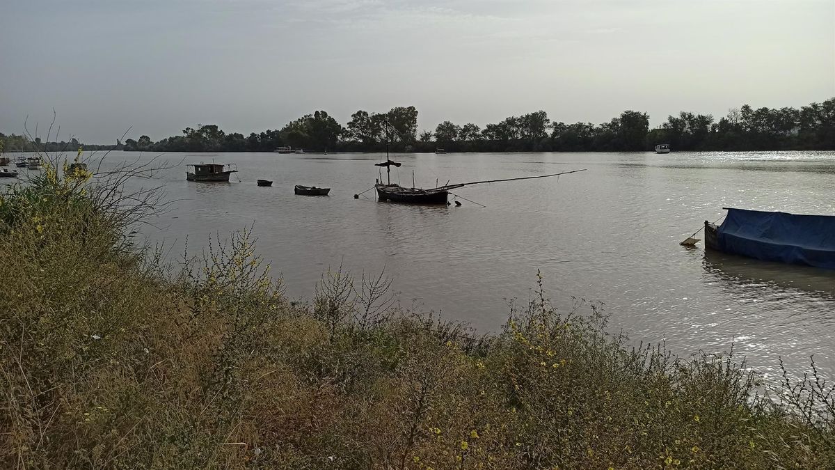 El río Guadalquivir a su paso por Coria del Río, Sevilla