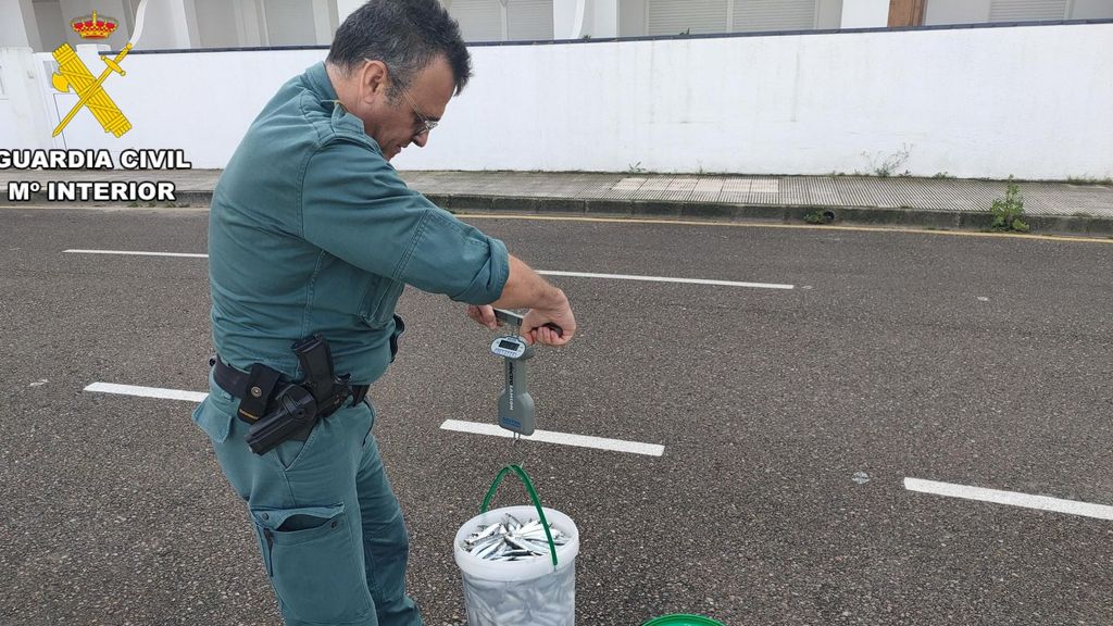 Pillan a un hombre con casi 100 kilos de pescado fresco en el maletero