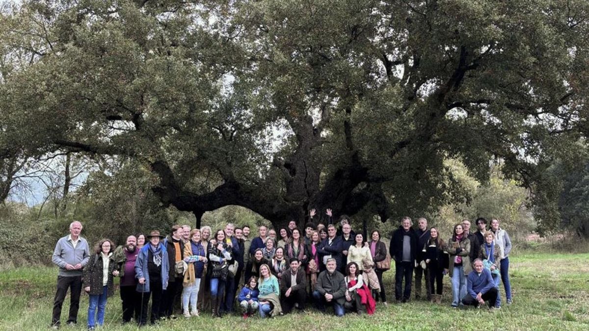 Un bosque de los poetas como bálsamo contra la despoblación y reclamo turístico en Jaén