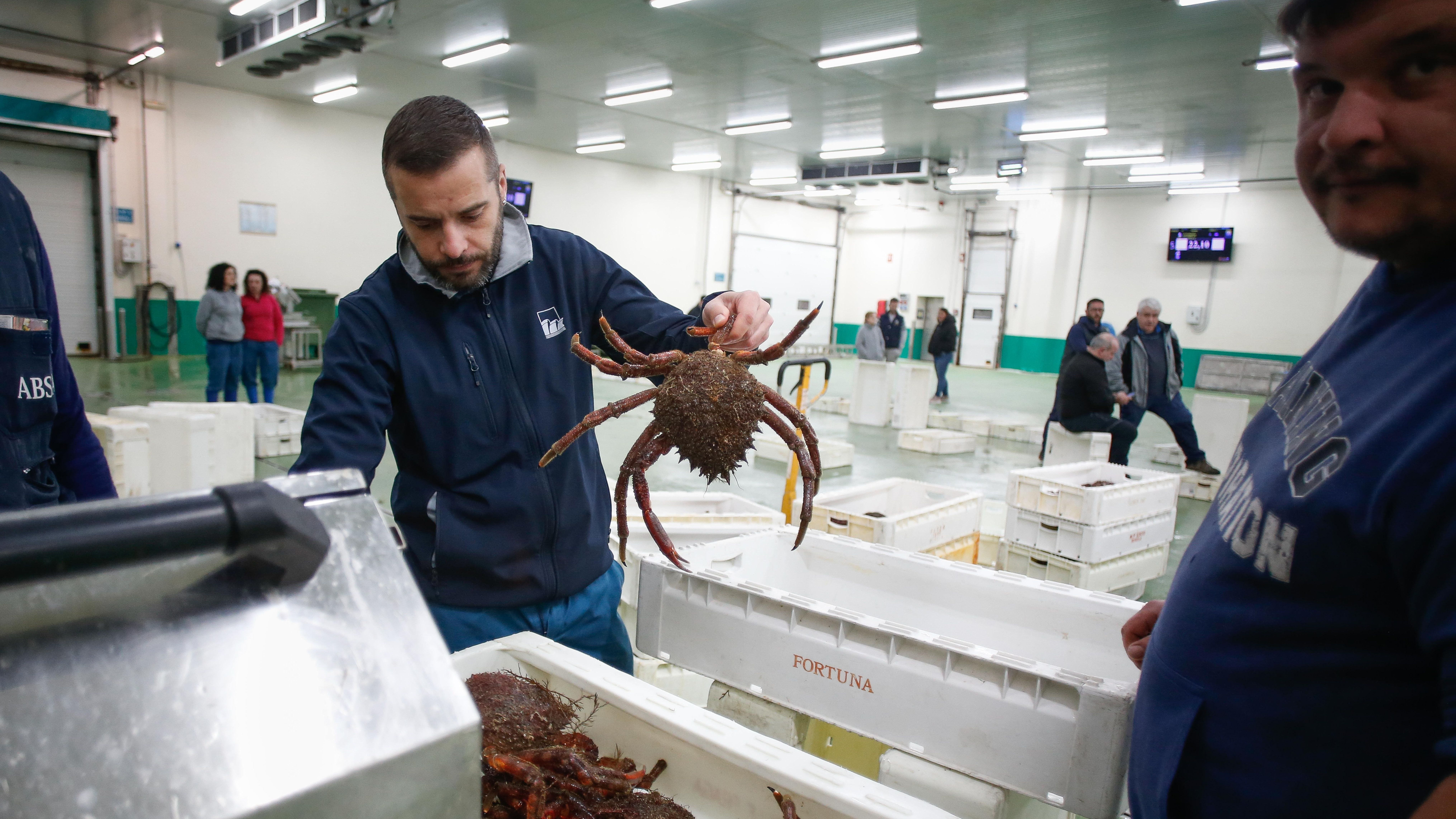 Foto de archivo de la venta de centollos en la lonja de Burela, Lugo, en 2023