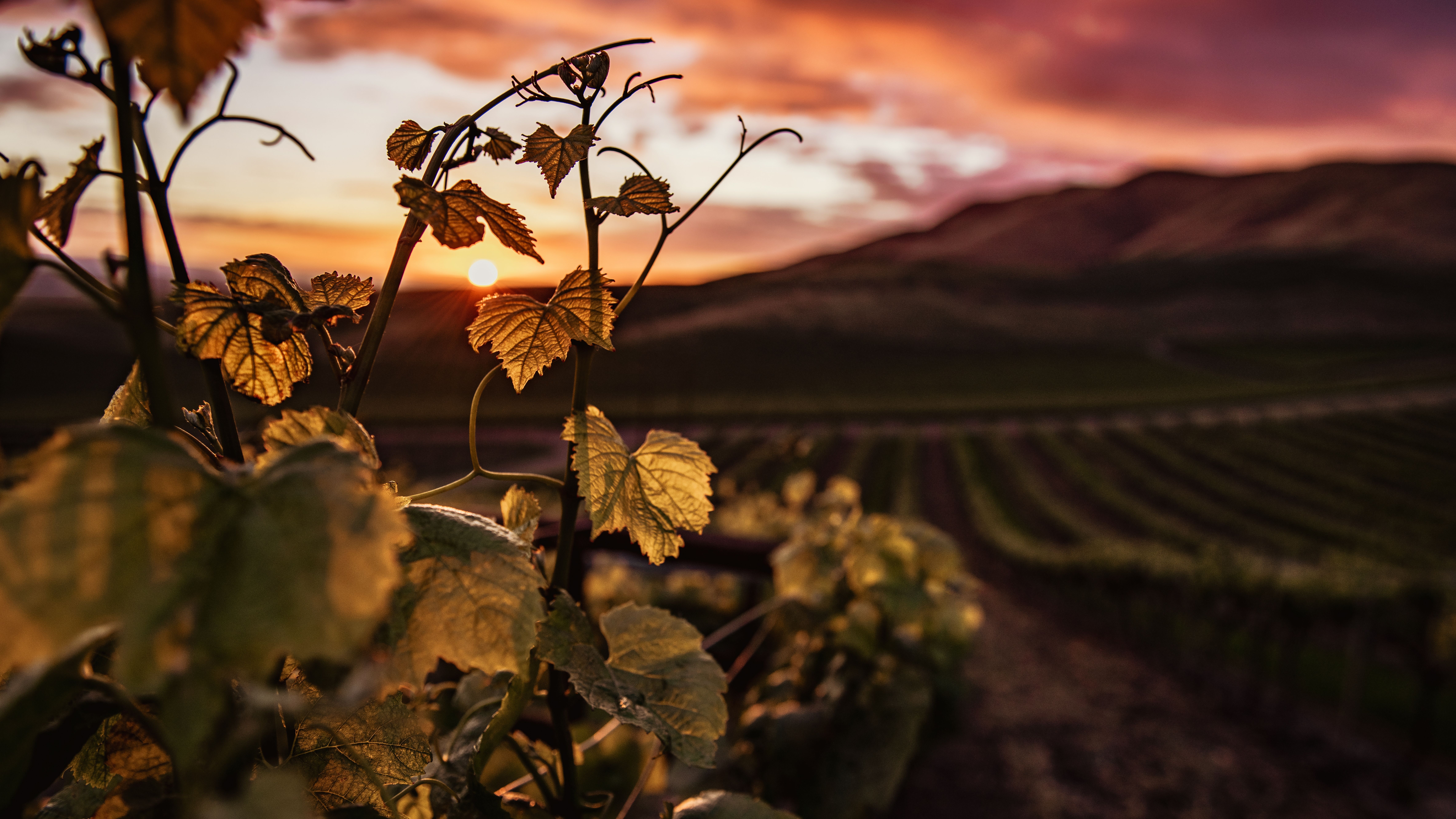 La Rioja es más que vinos, es cultura, historia y naturaleza