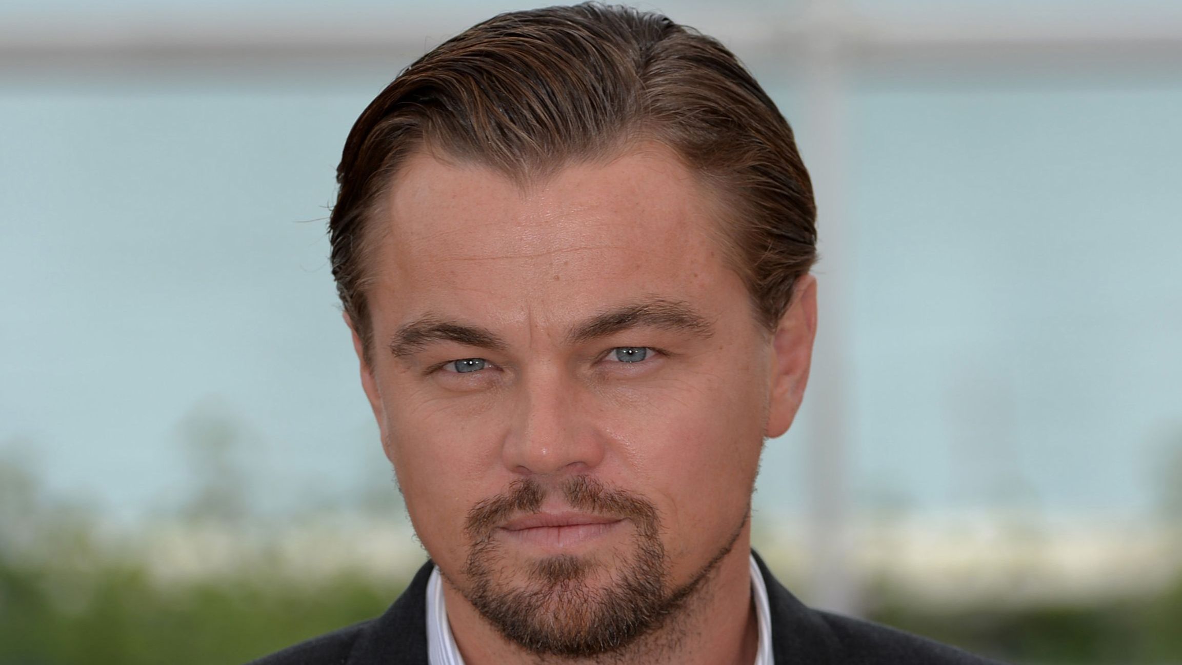 Leonardo DiCaprio Leonardo DiCaprio