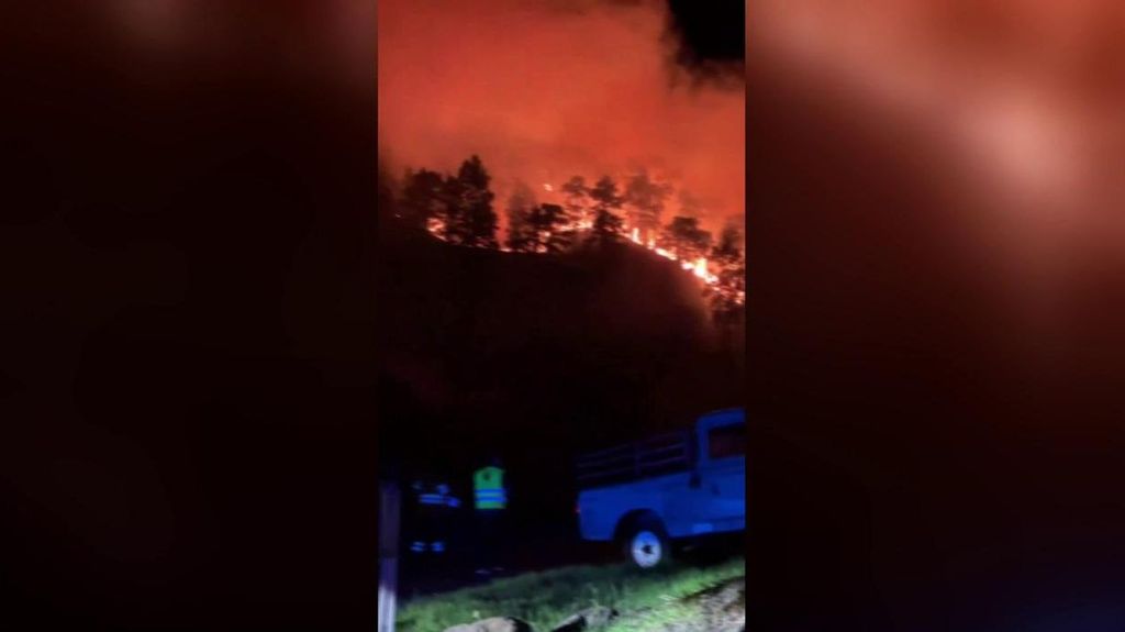 Conato de incendio forestal en La Palma