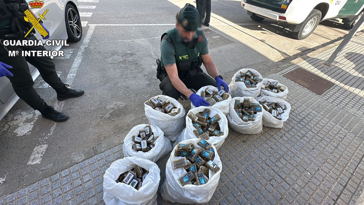 Dorga incautada a un conductor en el Coto de Bornos