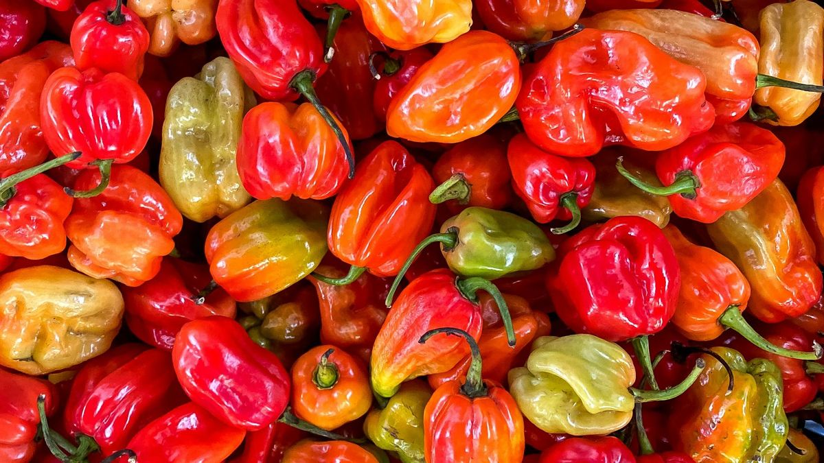 Pimiento rojo: fuente abundante de vitamina C