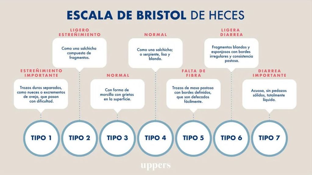 Escala de Bristol