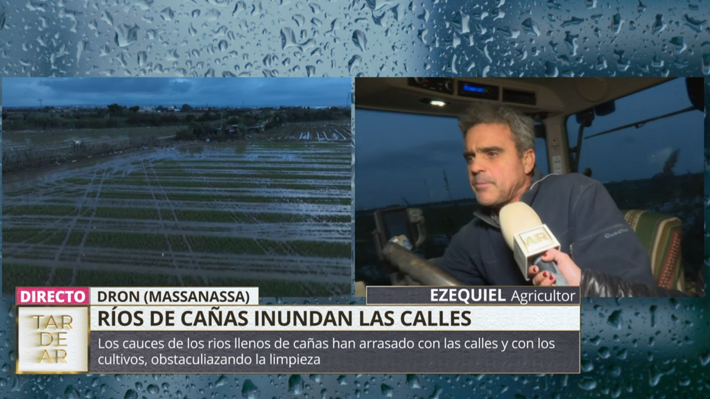 Ezequiel, agricultor afectado por la DANA, sobre los cauces llenos de maleza: "El puente estaba lleno de cañas, troncos..."