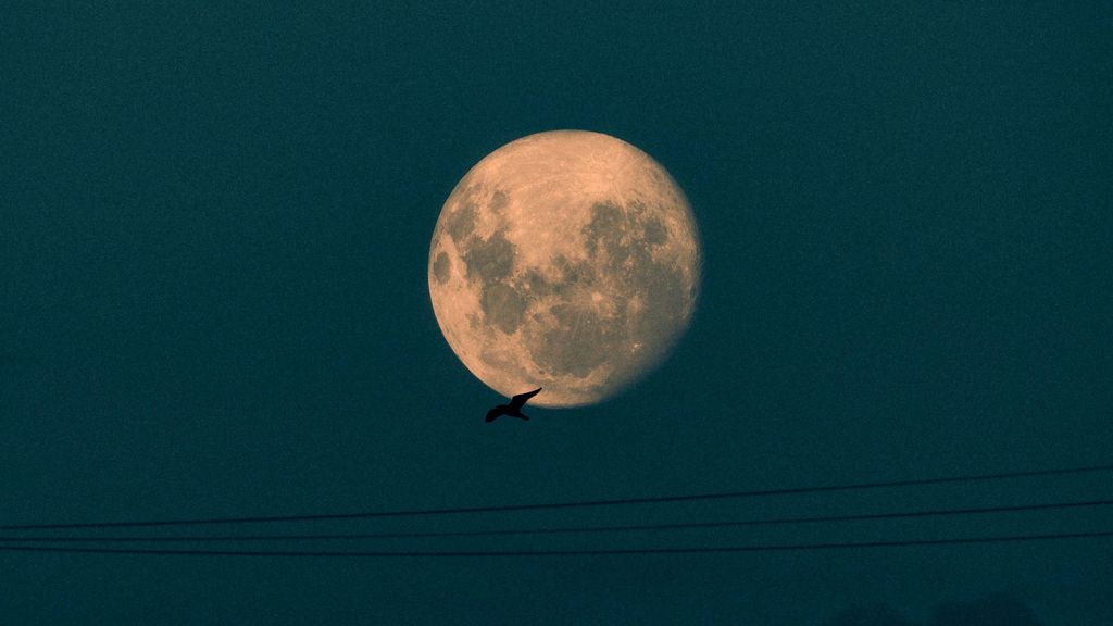 La luna llena de noviembre es muy especial