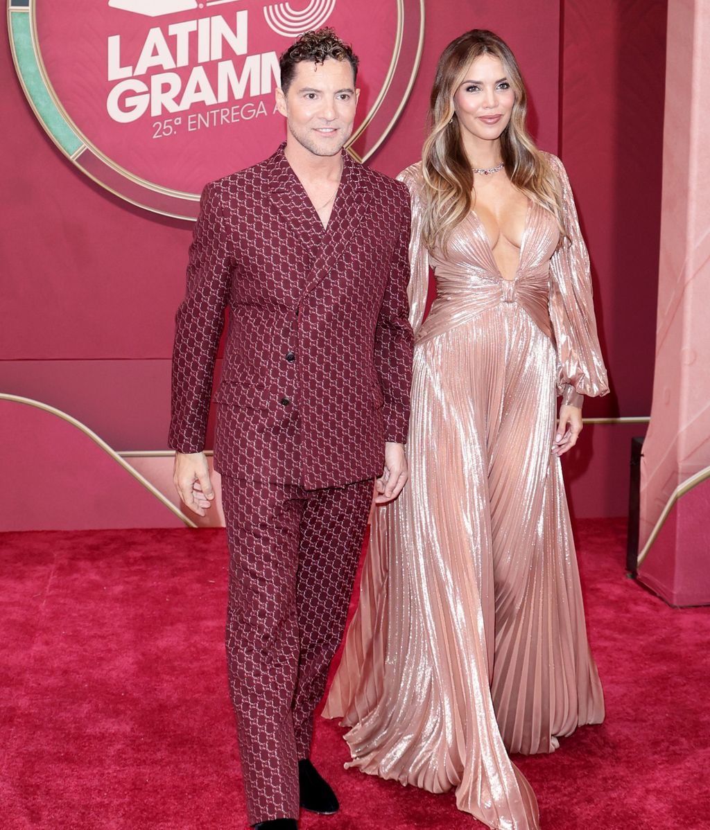 David Bisbal y Rosanna Zanetti