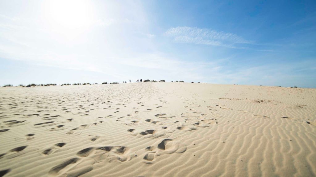 Dunas del Parque Nacional de Doñana