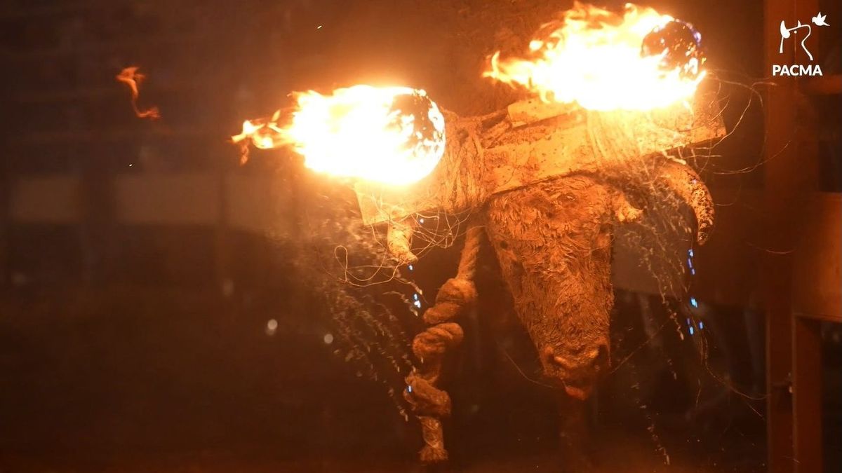 El juez ratifica la suspensión de la celebración del Toro Jubilo de Medinaceli pese a las alegaciones