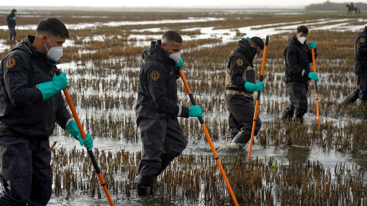 Agentes de la Guardia Civil siguen buscando cuerpos en la Albufera