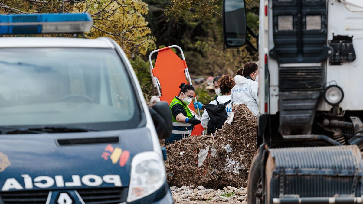 Hallan un cuerpo en un descampado de Sedaví dentro de los trabajos de búsqueda de desaparecidos