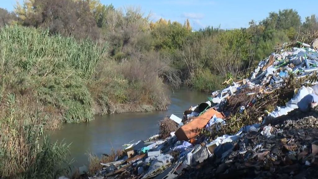 La crítica situación de la ribera del río Guadarrama