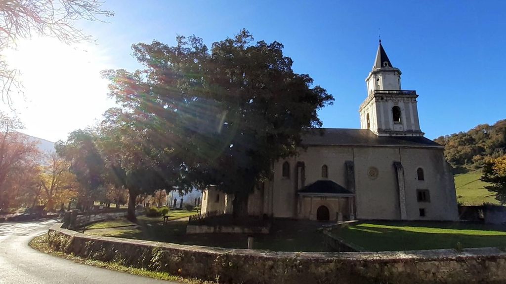 La encina ubicada junto al Santuario de la Virgen de la Encina, en Artziniega, puede ser elegida como Árbol del Año