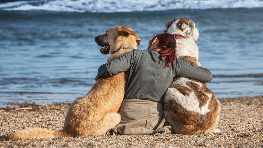 Una joven abraza a dos perros