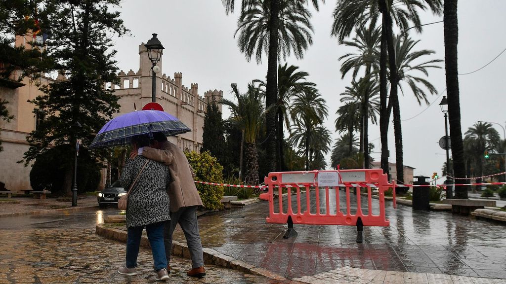 Vista del Passeig Sagrera de Palma