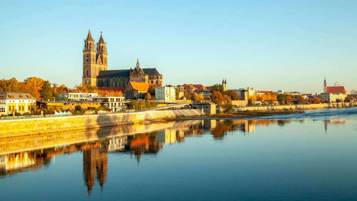 Alemania busca profesores españoles