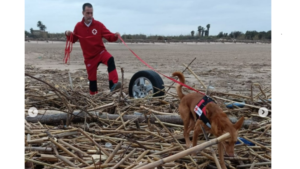 Xavi Chaparro y Cooper: la historia altruista de un voluntario y su perro ayudando tras la DANA en Valencia