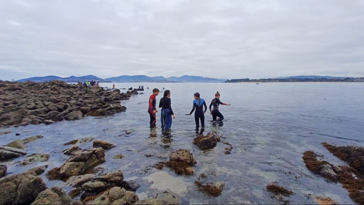 Un grupo de alumnos de la UVigo y el Ifaga sueltan 300 ejemplares de bogavante en la ría de Vigo