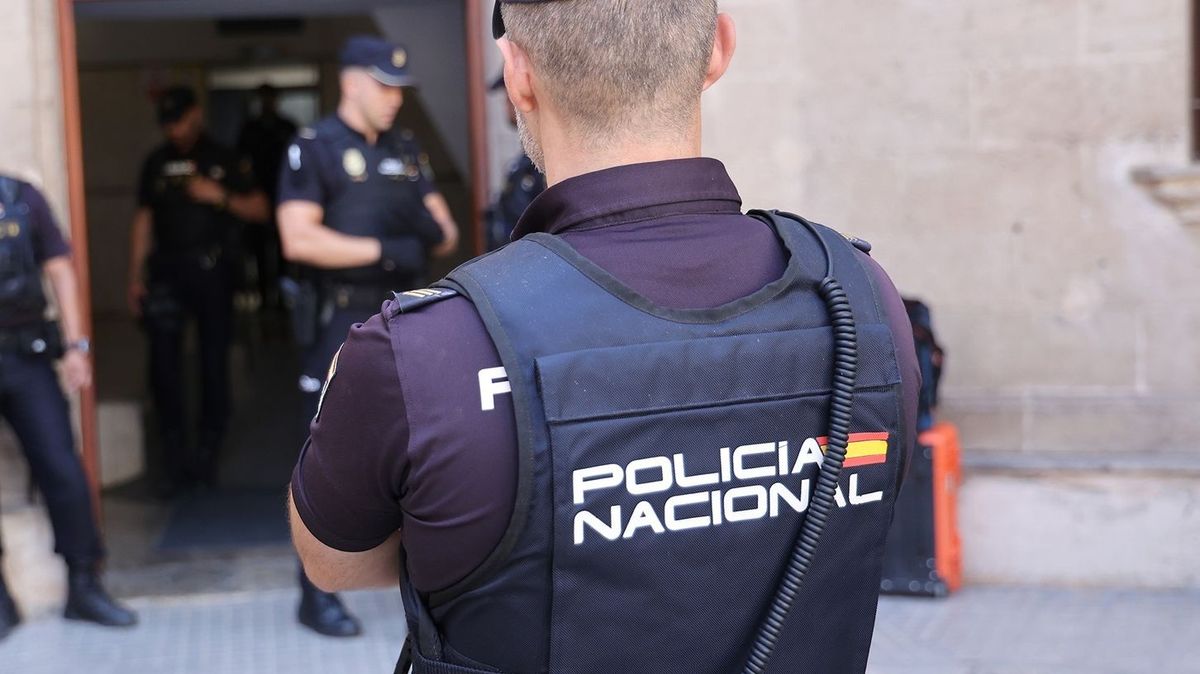 EuropaPress 6055874 varios policias juzgado instruccion numero 26 junio 2024 palma mallorca