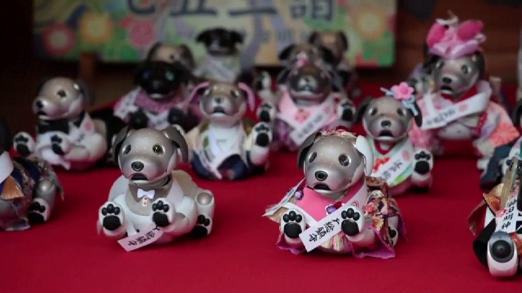 Perritos robóticos con kimono son bendecidos en una ceremonia tradicional japonesa a falta de niños