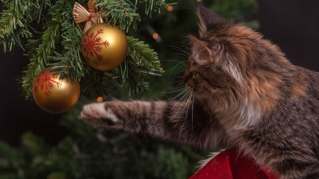 Un gato juega con el árbol de Navidad