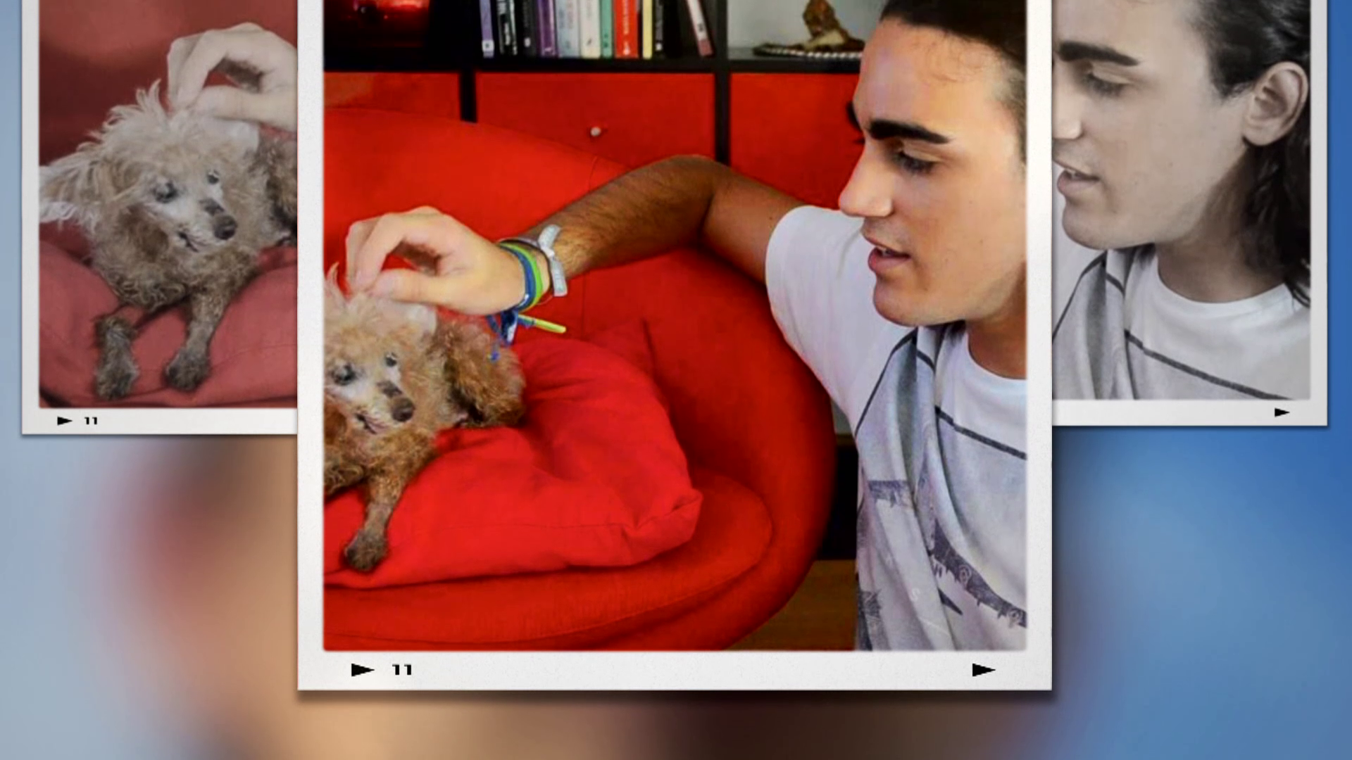 vlcsnap 2024 11 25 19h22m24s333