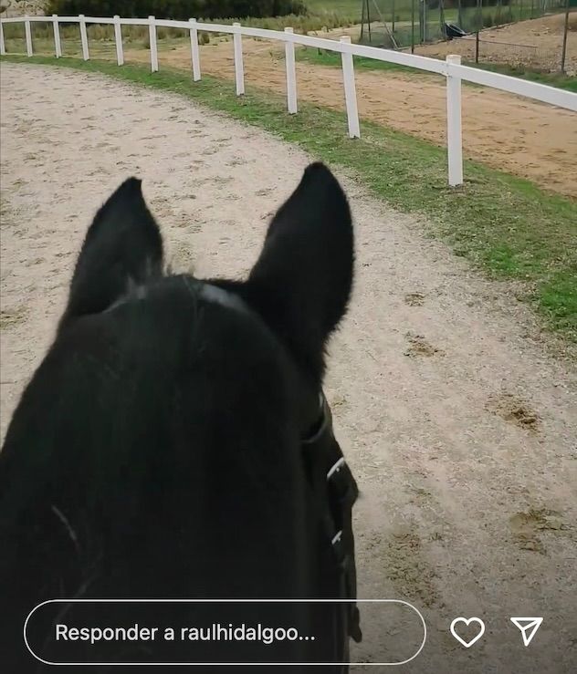 caballo