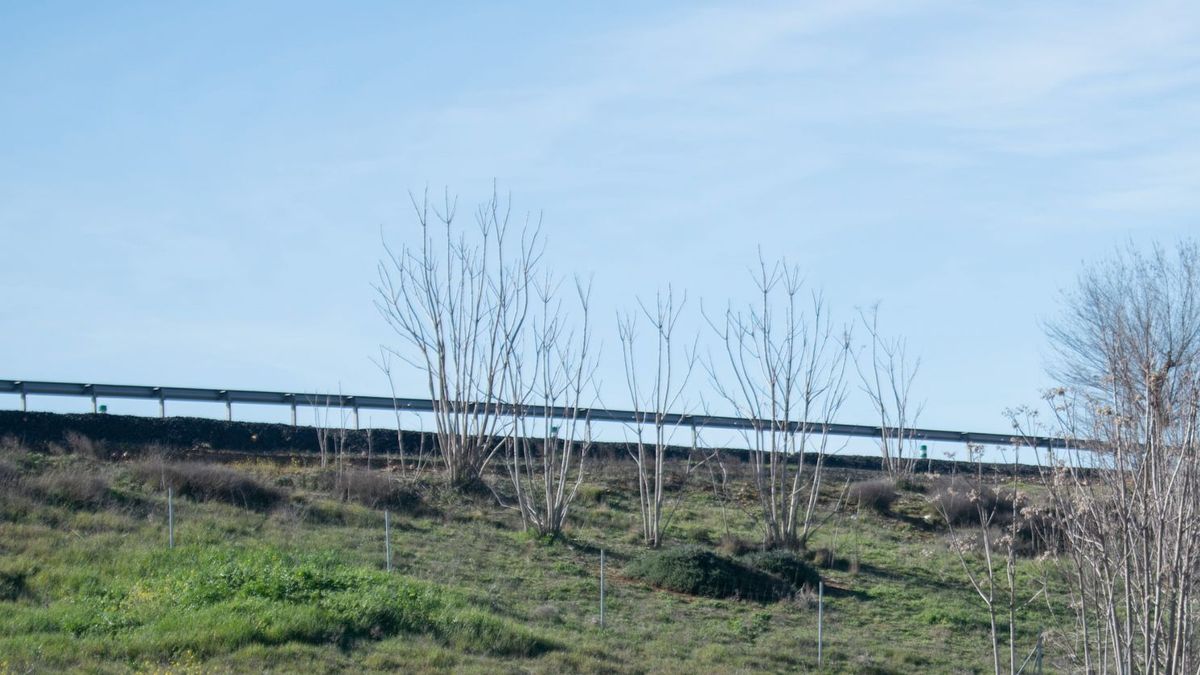 Carretera en Ciudad Real