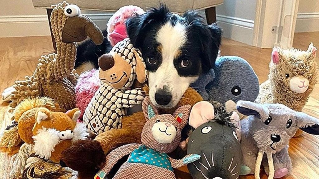 Un perro rodeado de peluches