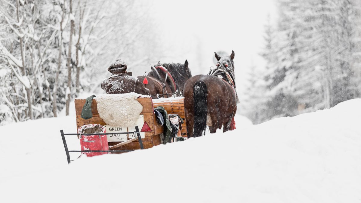 Muchas ciudades están nevadas, lo que hace un ambiente más navideño