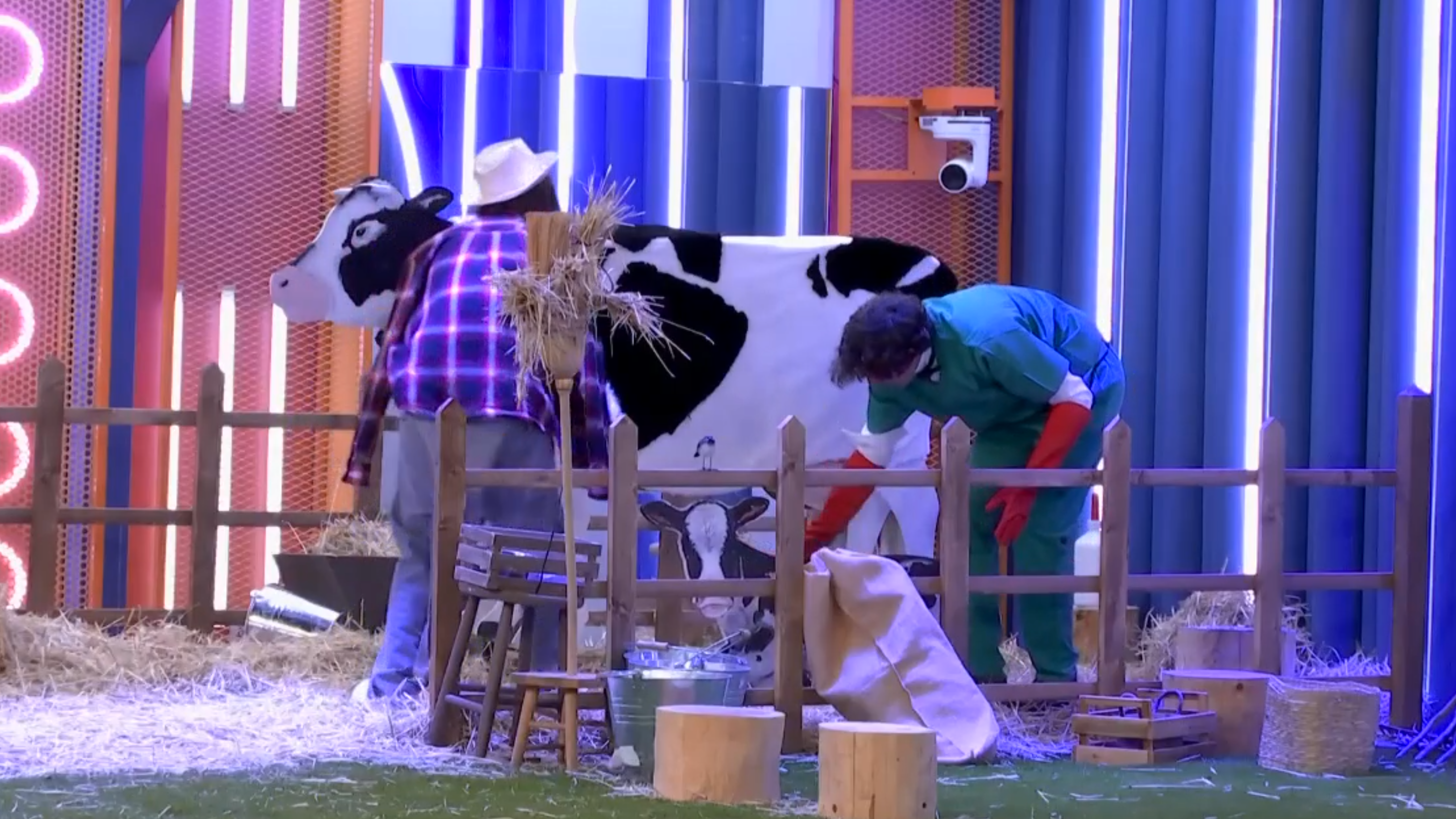 Maica y Óscar en el parto de la vaca