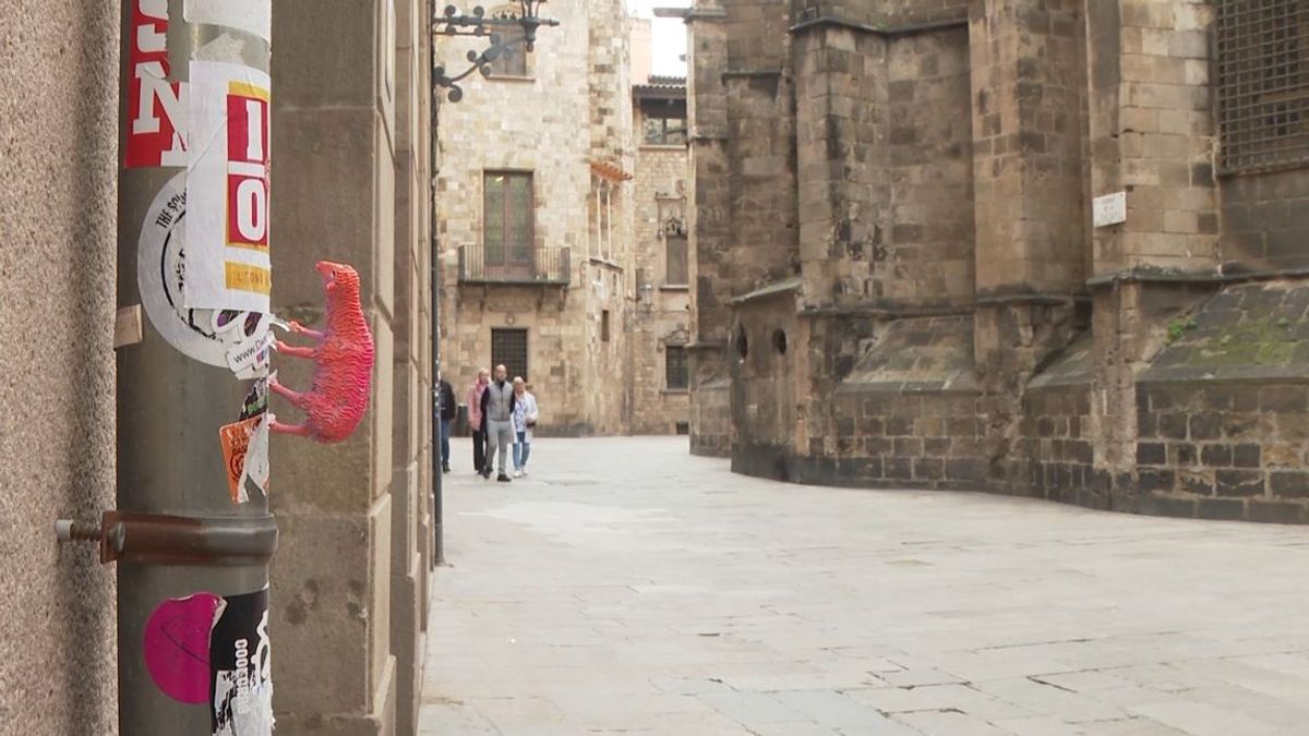 Aparecen centenares de ovejas escondidas por Barcelona,