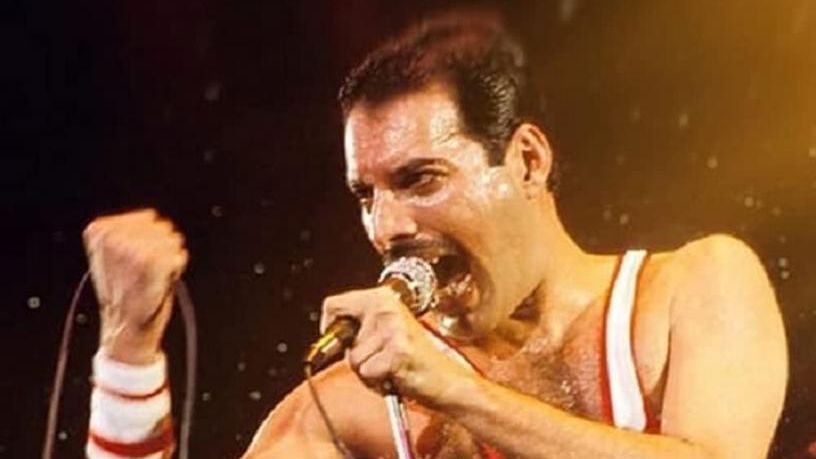 Freddie Mercury: ¿qué bebían en sus conciertos los grandes del rock?