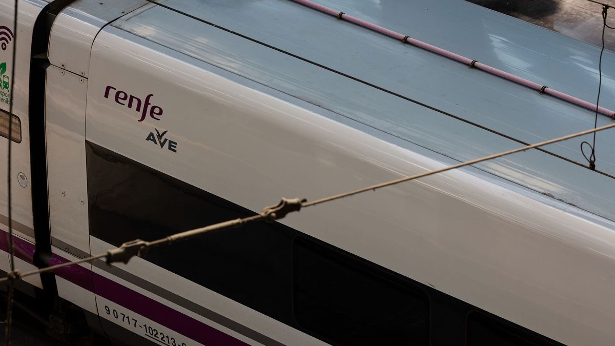 Renfe fija un precio de 7 euros para las plazas de los clientes que usan silla de ruedas