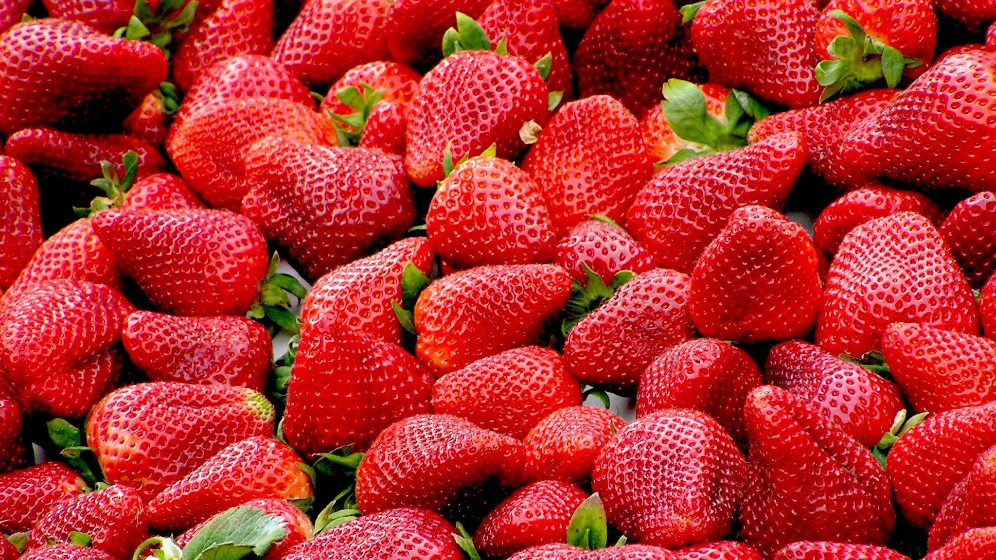 Fresas