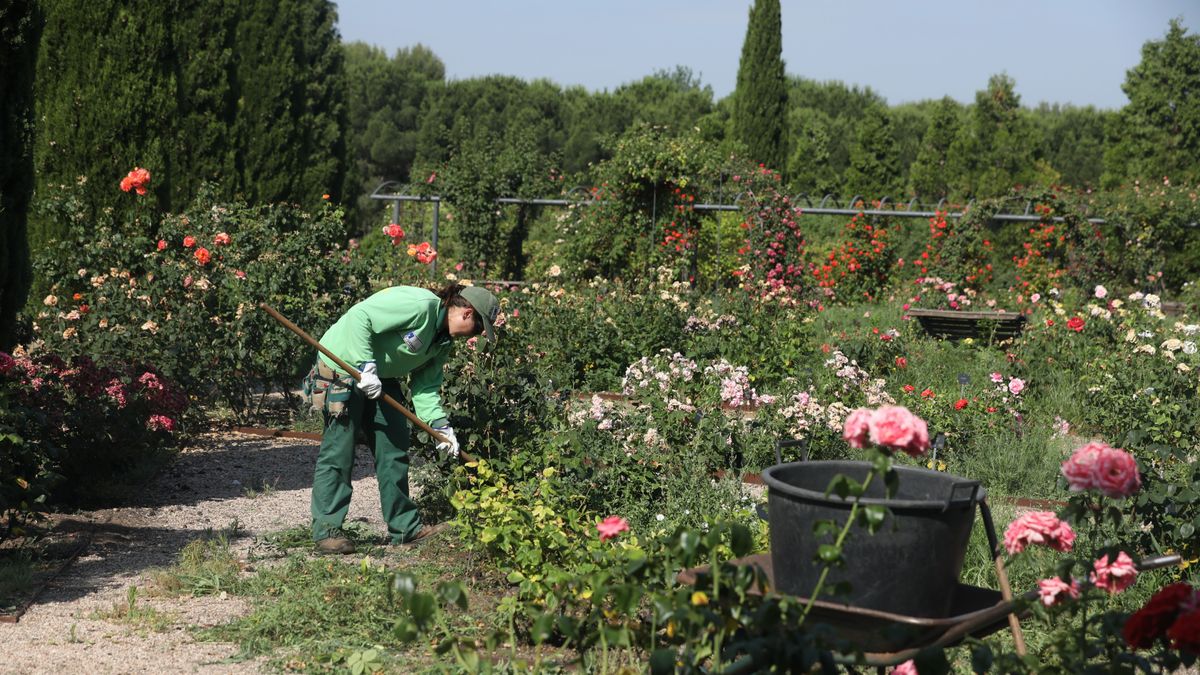 La transición ecológica disparará los trabajos vinculados al medioambiente: "Para la FP, casi una de cada tres oportunidades serán potencialmente verdes"