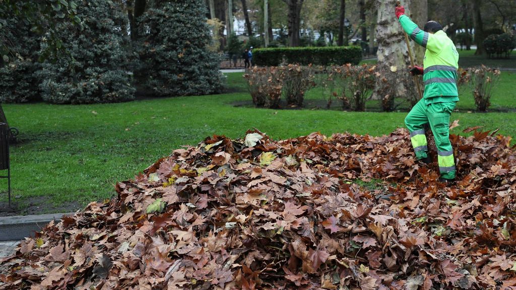 Un jardinero trabaja en el parque de San Francisco de Oviedo