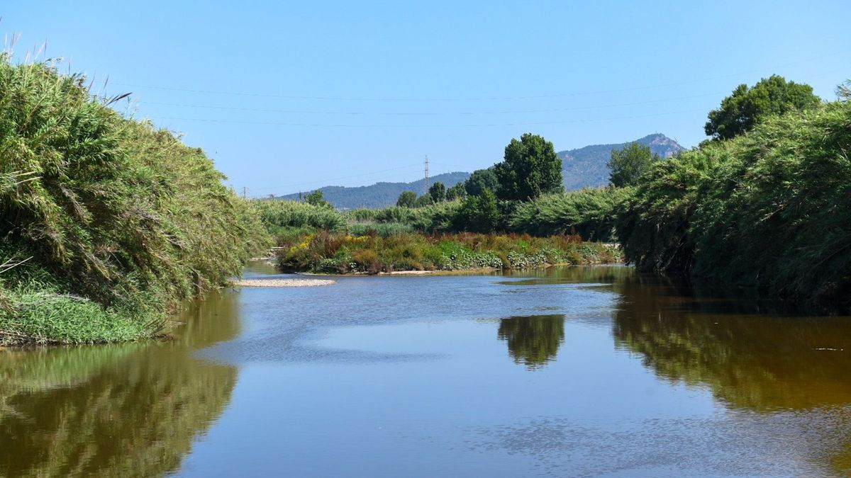 Un tramo del río Llobregat, en Barcelona